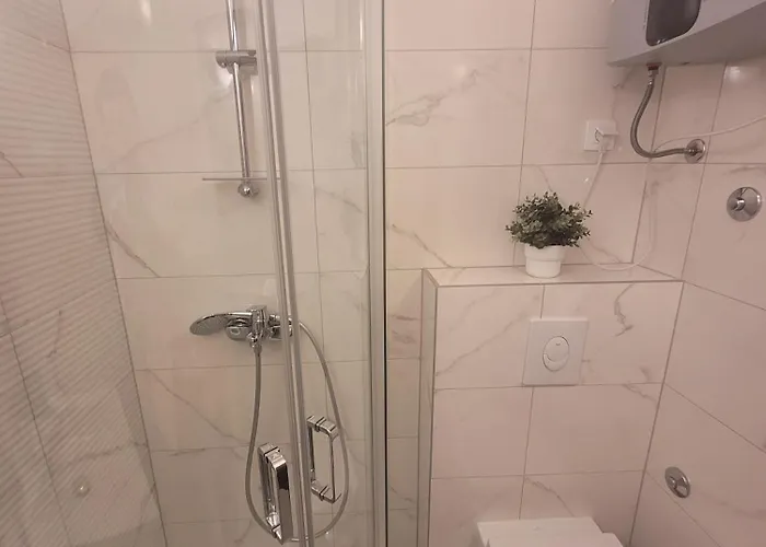 Blazevic 奥米沙利