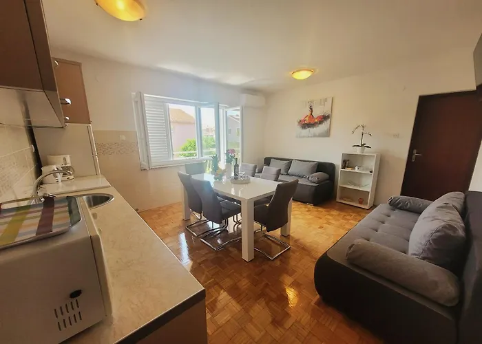 Blazevic 奥米沙利