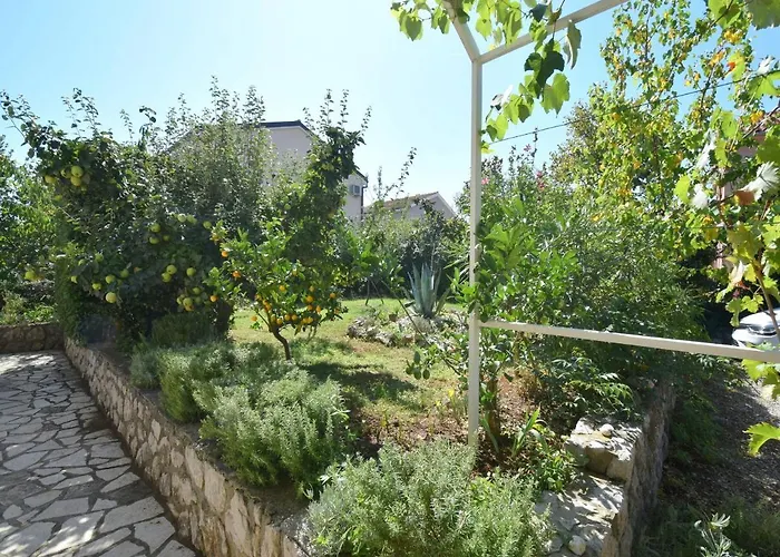 Blazevic 招待所 3*